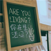 月影织者 的头像