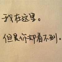 撒野人 的头像