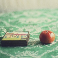 风流浪子 的头像