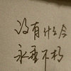 憨熊大力 的头像