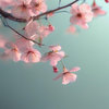 星空织梦 的头像
