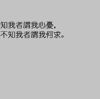 云旅客 的头像
