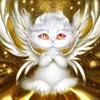 ProudPeacock 的头像