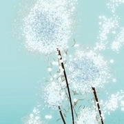 绵绵小奶包 的头像