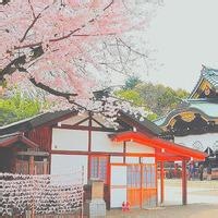 木匠王 的头像