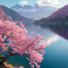 寂寞夜空 的头像