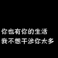 猫咪风 的头像