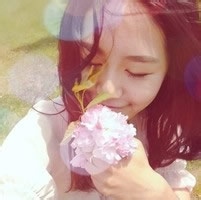 花狐狸 的头像