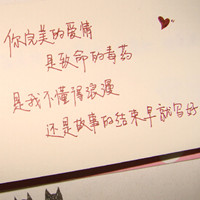 虎头猫 的头像