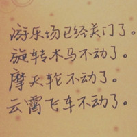 社牛本尊 的头像