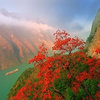 鳄鱼牙医 的头像